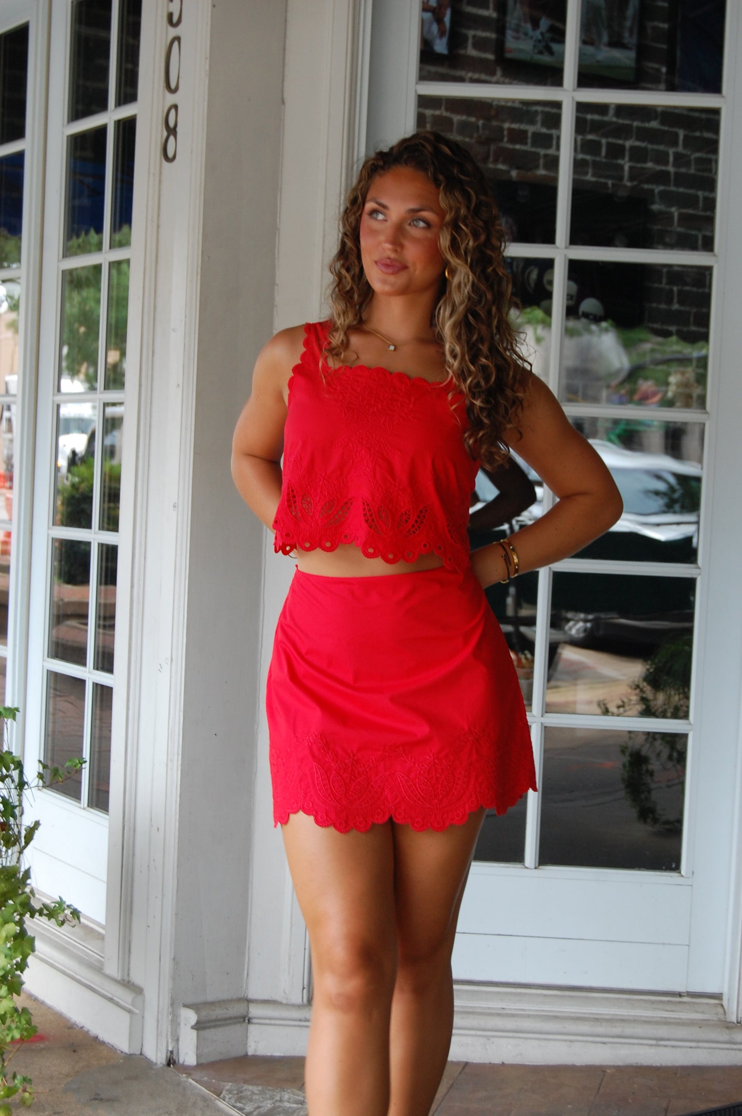 Embroidered Skirt