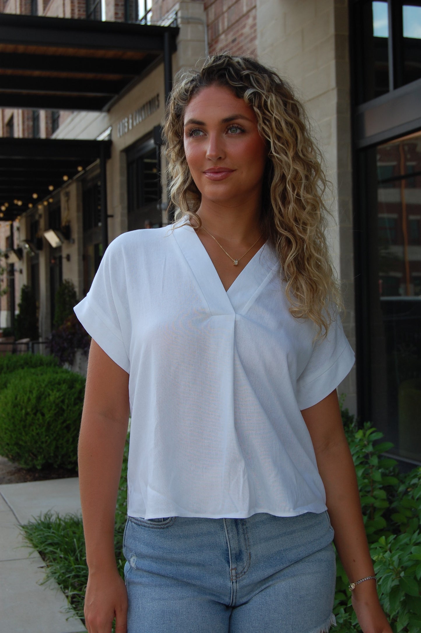 V-Neck Blouse