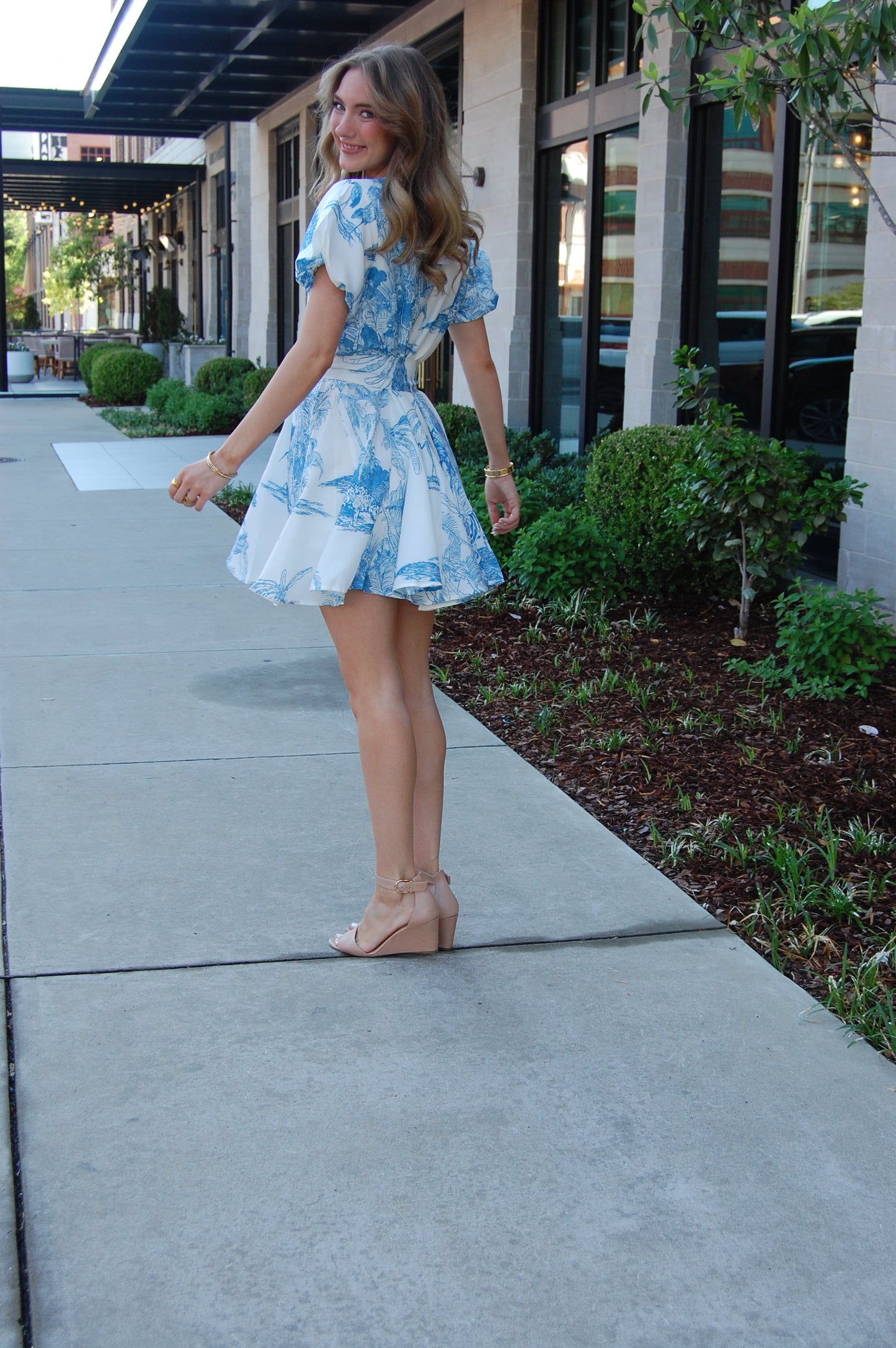 Ellen Dress