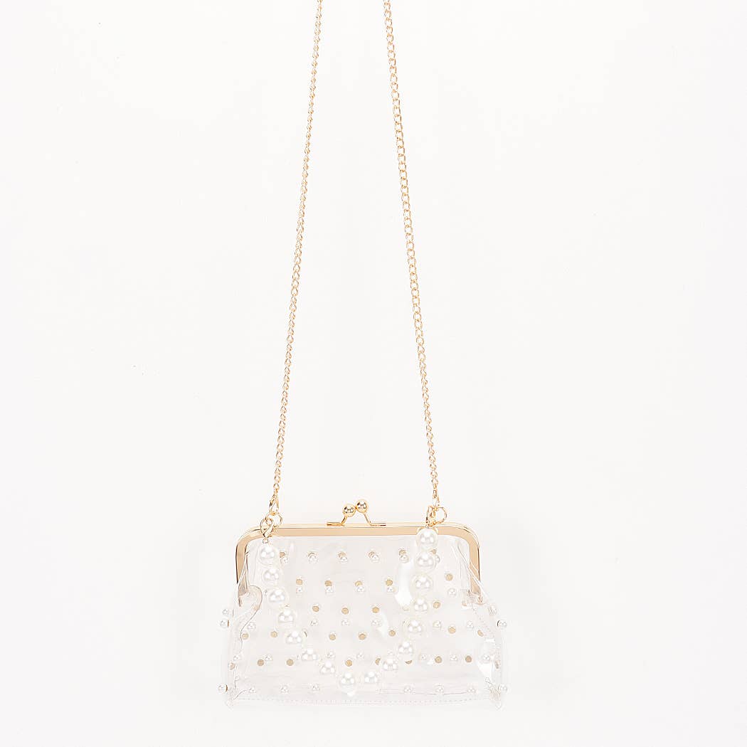 Clear Mini Purse Clutch
