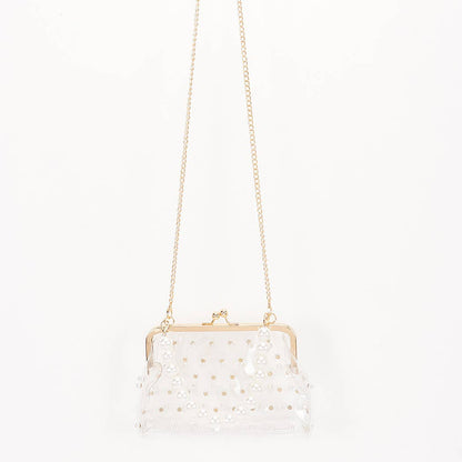 Clear Mini Purse Clutch