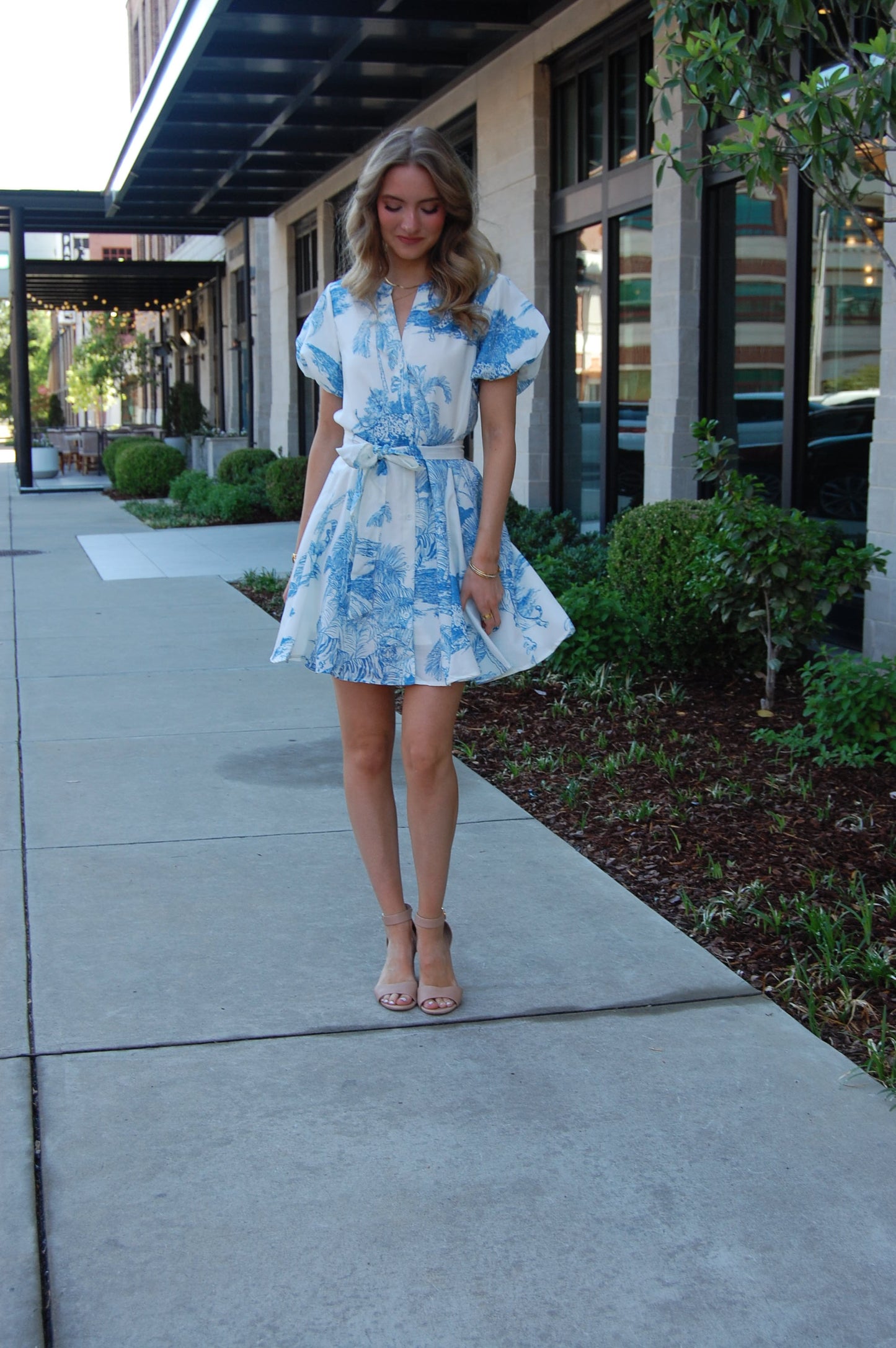 Ellen Dress
