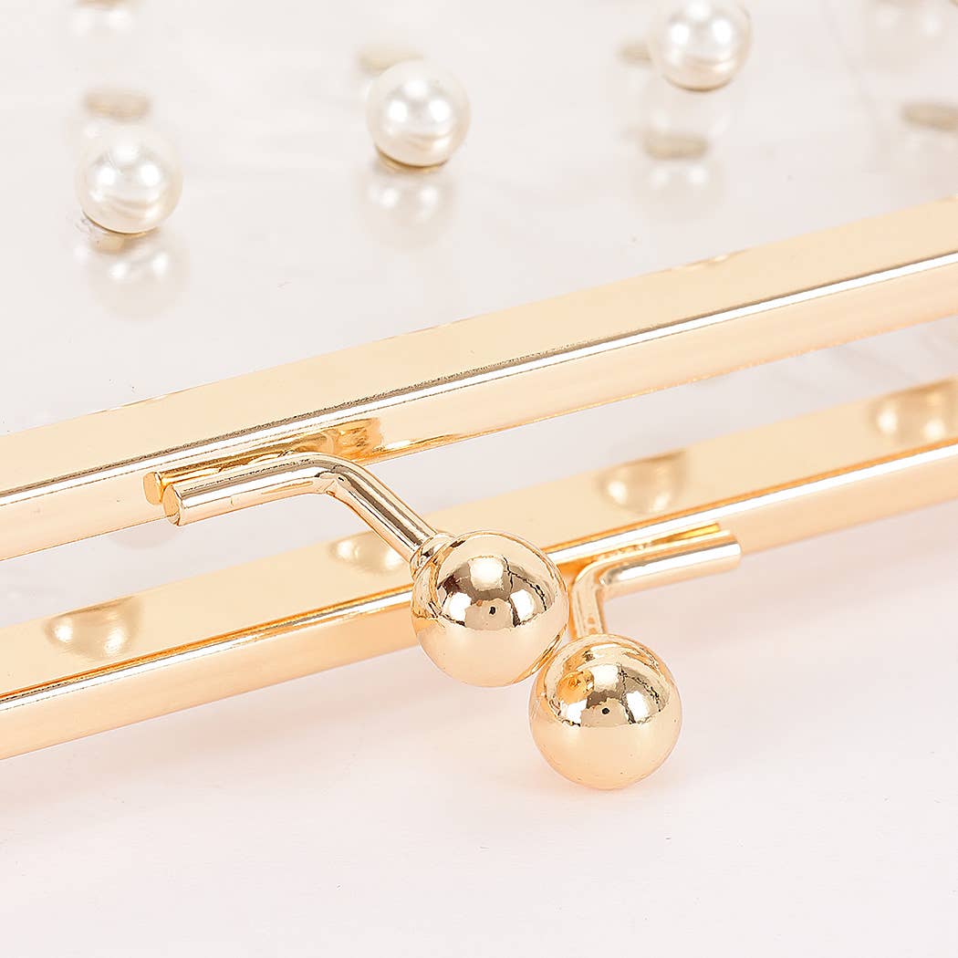 Clear Mini Purse Clutch