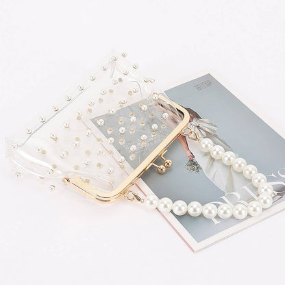Clear Mini Purse Clutch