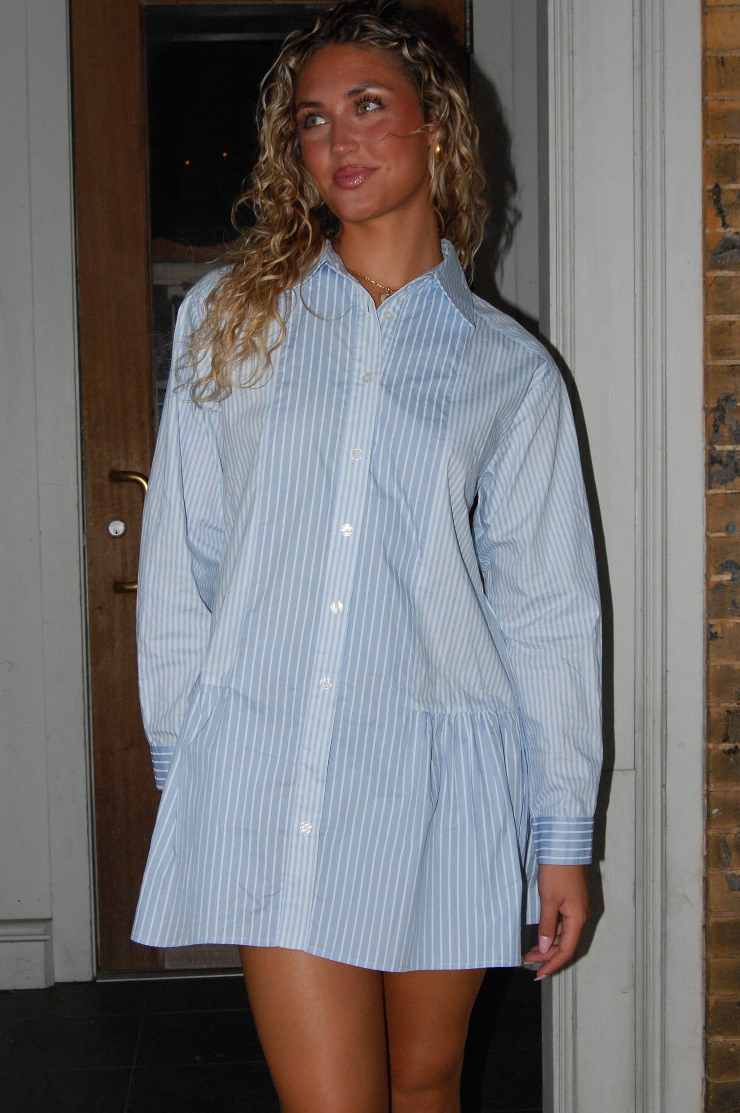 Emily Mini Dress
