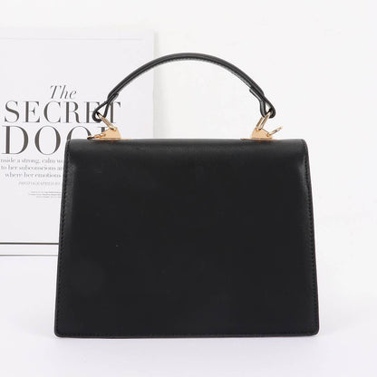 Clear & Leather Combo Bag