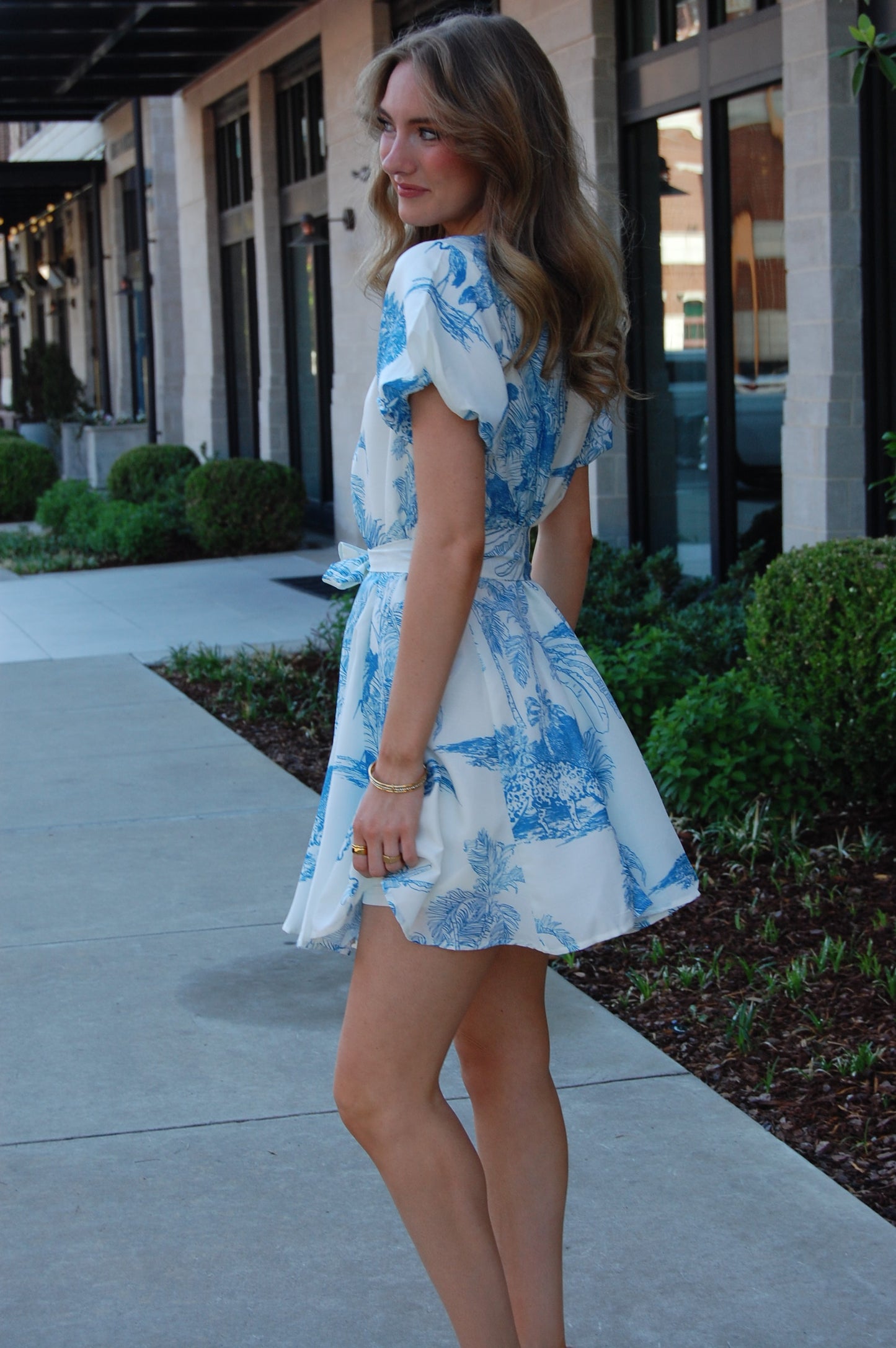 Ellen Dress