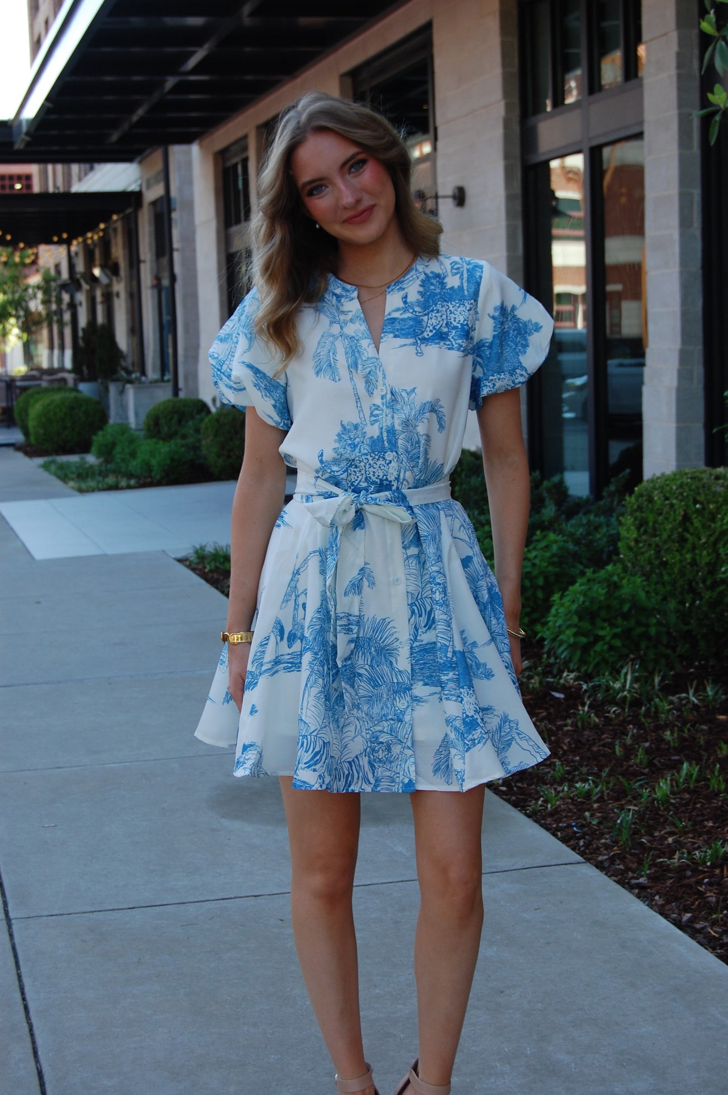 Ellen Dress