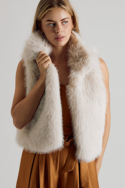 Faux Fur Vest