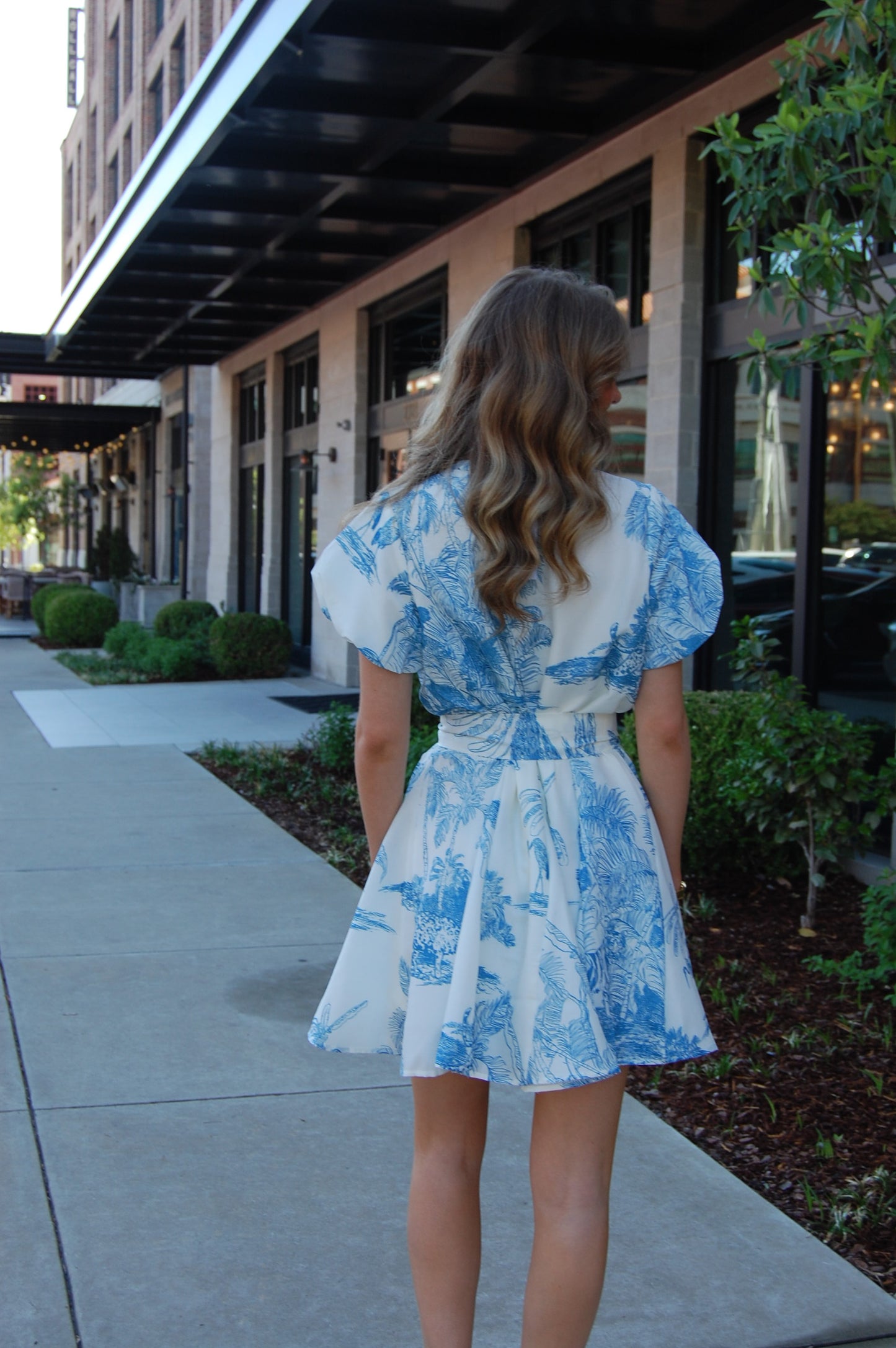 Ellen Dress