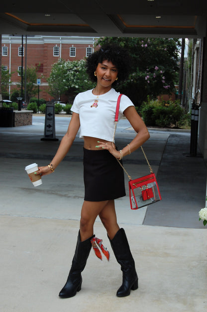 Clear Crossbody Purse